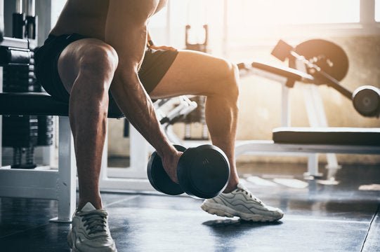 Gym Essentials - Znetics